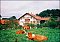 Bauernhof Mesnerhof Münsing / Holzhausen Bauernhof Mesnerhof Münsing / Holzhausen
