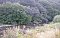 Camping Casa Rustica Ciucea - Campingplätze. HIER.
