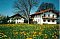 Bauernhof Stettnerhof Halfing