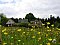 Ferienhof Zollfrank Bad Brambach / Rohrbach Ferienhof Zollfrank Bad Brambach / Rohrbach
