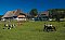 Ferienwohnung FeWo Unterhöfenhof Titisee-Neustadt