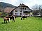 Ferienwohnung FeWo Schätzlehof Winden im Elztal Ferienwohnung FeWo Schätzlehof Winden im Elztal