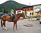 Ranch Motel Unterkunft Ruzomberok / Cernova - Hotels.