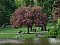 Pension Am Park Berlin Charlottenburg - Pensionen