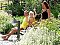 Pension Taubinger Hof Untergriesbach - Pensionen