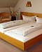 Hotel Litz Bietigheim-Bissingen Hotel Litz Bietigheim-Bissingen