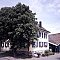 Hotel Krone Bühl / Oberbruch Hotel Krone Bühl / Oberbruch